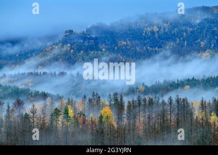 Ambiance de brouillard sur la forêt de couleur automnale, du bassin de cowshed, Kirnitzschtal, Parc national de la Suisse saxonne, Suisse saxonne, grès d'Elbe, Saxe, germe Banque D'Images