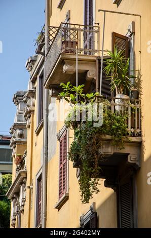 Détail d'un balcon plein de plantes et d'un vieux bâtiment de style Milan. Via Paolo Sarpi. Chinatown. Italie Banque D'Images