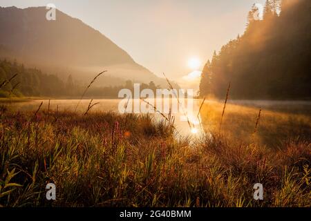 Ambiance matinale à Weitsee près de Reit im Winkl en automne, Reit im Winkl, Chiemgau, Bavière, Allemagne Banque D'Images