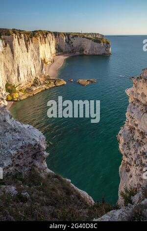 Falaises de craie falaise à l'heure d'or près d'Étretat, Normandie, France. Banque D'Images