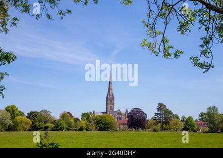 Cathédrale de Salisbury de l'autre côté des prés d'eau, Wiltshire, Angleterre avec la plus haute flèche du pays Banque D'Images