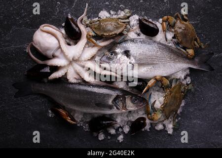 assiette de fruits de mer avec seiches fraîches, moules, crabe bleu, bar de mer et poisson dorado sur glace Banque D'Images