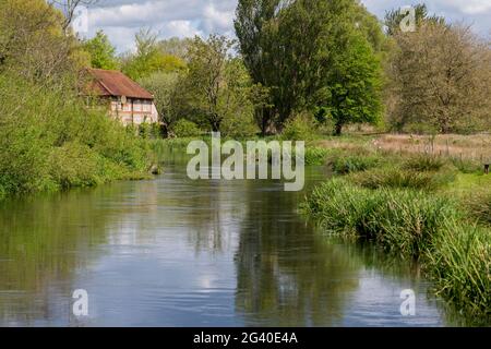 Près de la rivière Itchen Winchester, Hampshire Banque D'Images