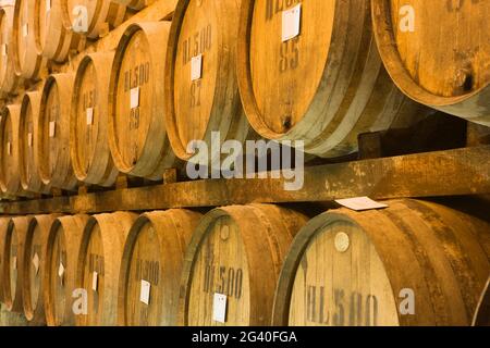 Fûts de vin dans une cave à vin, Montepulciano, Toscane, Italie Banque D'Images