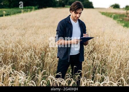 Un jeune agronome étudie le rendement dans un champ de blé. L'agriculteur fait des enregistrements et des analyses. Banque D'Images