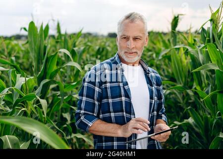 L'agriculteur utilise la tablette dans le champ, à l'extérieur. Les technologies modernes, le concept de l'agriculture. Banque D'Images