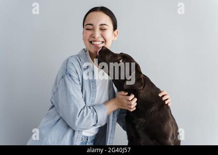 Happy girl joue avec le chien sur fond gris. Chien lécks cheeck de la femme heureuse. Bonne humeur avec un animal domestique. Banque D'Images