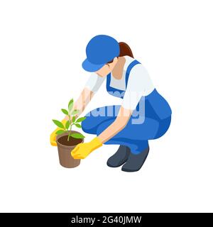 Travaux agricoles.Processus de transplantation isométrique des semis.Jeunes plants de légumes de transplanter dans des pots de tourbe à l'aide d'outils de jardin.Femme Illustration de Vecteur