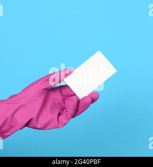 Carte de visite en carton blanc vierge à portée de main. Un gant rose est sur la main, sur fond bleu Banque D'Images