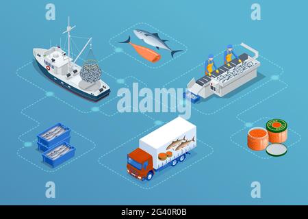 Isométrique industrie du poisson concept des fruits de mer.Pêche commerciale.Pêche en mer, industrie maritime des navires, bateau à poissons. Illustration de Vecteur