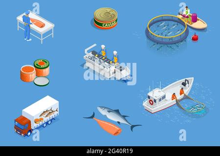 Isométrique industrie du poisson concept des fruits de mer.Pêche commerciale.Pêche en mer, industrie maritime des navires, bateau à poissons. Illustration de Vecteur