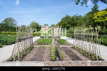 Le jardin de la cuisine ornementale qui donne sur la longue promenade du Newt, près de Bruton, Somerset, Royaume-Uni, le 15 juin 2021 Banque D'Images