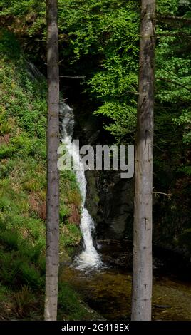 Vue sur les chutes du Devil's Bridge (Pontarfynach), et sur la rivière du thriller télévisé Hinterland, près d'Aberystwyth, Ceredigion, pays de Galles, Royaume-Uni Banque D'Images