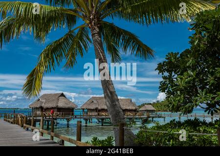 Bungalows sur les palmiers à noix de coco et sur l'eau au Sofitel Bora Bora Private Island Resort, Bora Bora, îles Leeward, Polynésie française, Pacifique Sud Banque D'Images