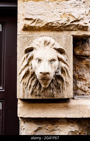 Mascaron de la tête d'un lion dans un bas-relief à une porte brune. Banque D'Images