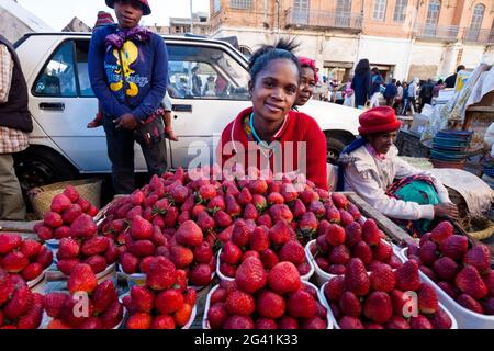 Zoma, décrochage de fraises sur le marché du vendredi dans la capitale Antananarivo, Madagascar, Afrique Banque D'Images