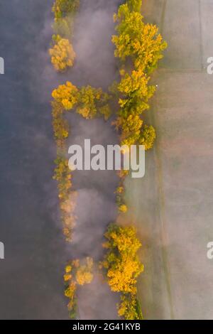 Brouillard dans la vallée principale près de Marktsteft, Kitzingen, Basse-Franconie, Franconie, Bavière, Allemagne, Europe Banque D'Images