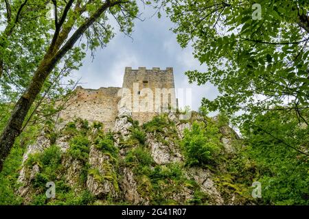 Au-dessous du château de Weissenstein, Basse-Bavière, Bavière, Allemagne, Europe Banque D'Images