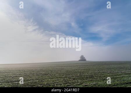 Matin glacial en novembre près de etting, haute-Bavière, Bavière, Allemagne, Europe Banque D'Images