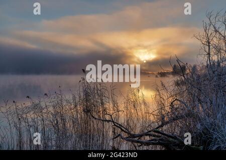 Lever de soleil le matin glacial au Staffelsee en novembre, Uffing, haute-Bavière, Bavière, Allemagne Banque D'Images