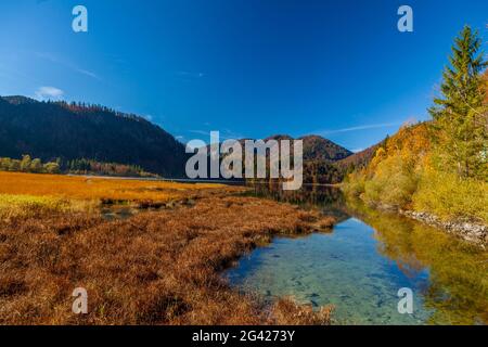 Weitsee près de Reit im Winkl en automne, Chiemgau, Bavière, Allemagne Banque D'Images