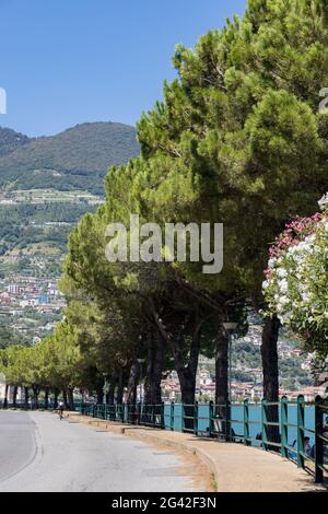 LAC ISEO, LOMBARDIE/ITALIE - AOÛT 15 : vue sur la route bordée d'atree le long de la rive du lac Iseo en Lombardie le 15 août 2020. O Banque D'Images