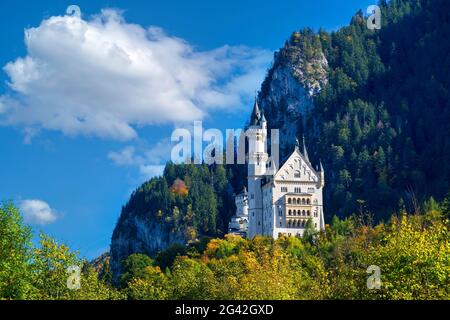 Vue sur le château de Neuschwanstein, Oberallgäu, Bavière, Allemagne Banque D'Images