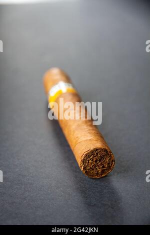 Cigare cubain marron isolé sur le gris Banque D'Images