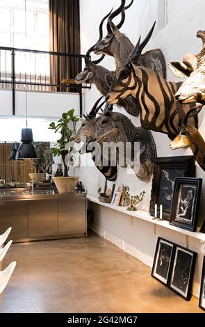 Vue intérieure d'une maison d'artistes à Copenhague. Des animaux taxidermied décorés décorent les murs, ainsi qu'une exposition de peintures, de la même façon Banque D'Images