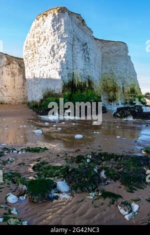 Vue sur les falaises de craie à Botany Bay, près de Broadescaliers dans le Kent Banque D'Images