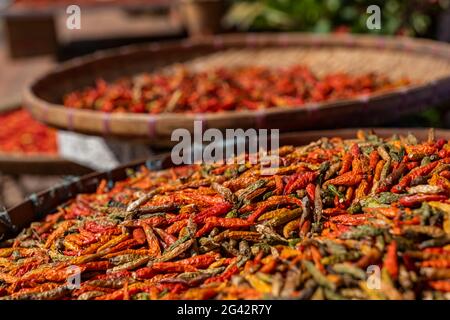 Les piments rouges chauds sèchent au soleil sur le marché de la rue, Luang Prabang, province de Luang Prabang, Laos, Asie Banque D'Images