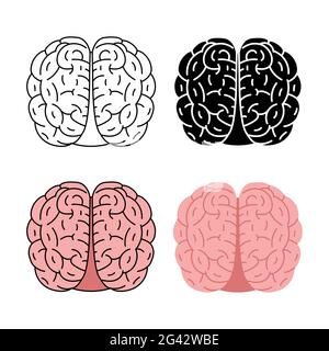 Illustration du vecteur sain du cerveau humain isolée sur fond blanc Banque D'Images