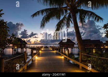 Palmiers à noix de coco et promenade menant aux bungalows sur l'eau du Sofitel Bora Bora Private Island Resort dans le lagon de Bora Bora à l'aube, Banque D'Images