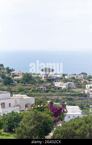 Paysage avec maisons à Capri, Italie Banque D'Images