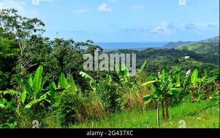 Profitez de l'île enchantée de Porto Rico Banque D'Images