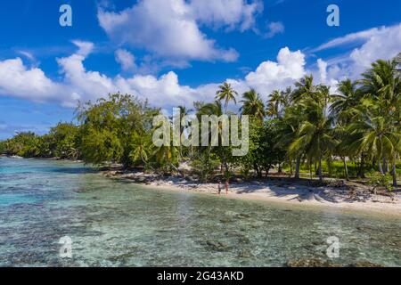 Vue aérienne des personnes se détendant sur la plage bordée de palmiers à noix de coco, l'île d'Avatoru, l'atoll de Rangiroa, les îles de Tuamotu, la Polynésie française, Pacifique Sud Banque D'Images