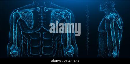 Illustration vectorielle polygonale d'un modèle humain, d'une articulation d'épaule et d'une articulation de coude. Système musculo-squelettique humain Banque D'Images