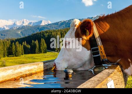 Montagnes - Paysage - Chiemgau - Tyrol Banque D'Images