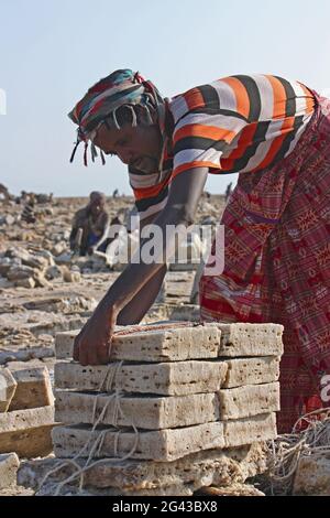 Éthiopie; région d'Afar; désert de Danakil; Dépression de Danakil; travailleurs sur les bacs à sel; desserrage et traitement des plaques de sel en travaux manuels laborieux Banque D'Images