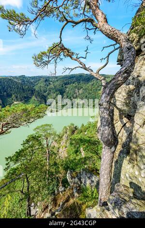 Vue sur le Danube près de Schlögener Schlinge, haute-Autriche, Autriche Banque D'Images