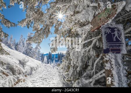 Sentier de randonnée d'hiver sur le Tegelberg près de Schwangau, Allgäu, Bavière, Allemagne Banque D'Images