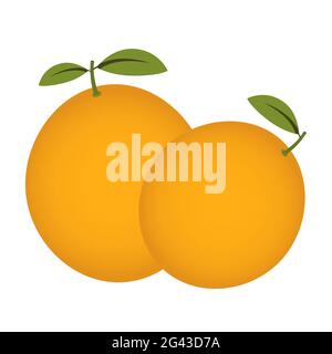 Fruits Orange isolé sur fond blanc. Illustration de Vecteur