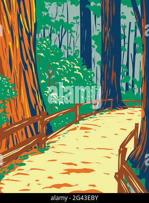 Affiche d'art WPA des séquoias dans Muir Woods National Monument dans Golden Gate National Recreation Area, San Francisco , Californie, Etats-Unis don Illustration de Vecteur