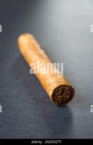 Cigare cubain marron isolé sur le gris Banque D'Images