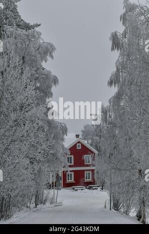 Maison suédoise rouge en hiver, Vilhelmina, Västerbotten, Suède Banque D'Images