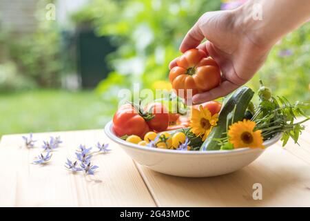 Jardinage urbain : légumes frais cultivés dans le jardin. Tomates, courgettes et herbes Banque D'Images