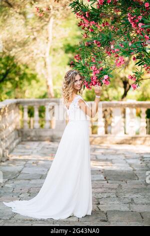 Une mariée sur le site près de l'ancienne église de Prcanj, renifler des fleurs roses sur les branches luxuriantes de l'oléander Banque D'Images