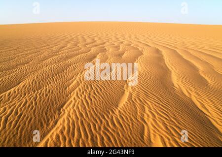 Le vent se déforme sur une grande dune de sable à dos de baleine au bord de la mer de sable, dans la région du désert occidental du Sahara, en Égypte. Banque D'Images