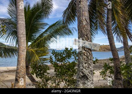 Attention, noix de coco ! Un panneau d'avertissement sur un cocotier avertit de la chute de noix de coco, Nabukeru, l'île de Yasawa, le groupe de Yasawa, les îles Fidji, Pacifique Sud Banque D'Images