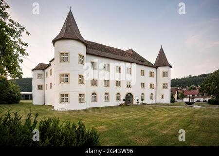 Château supérieur à Immendingen, quartier de Tuttlingen, Bade-Wurtemberg, Danube, Allemagne Banque D'Images